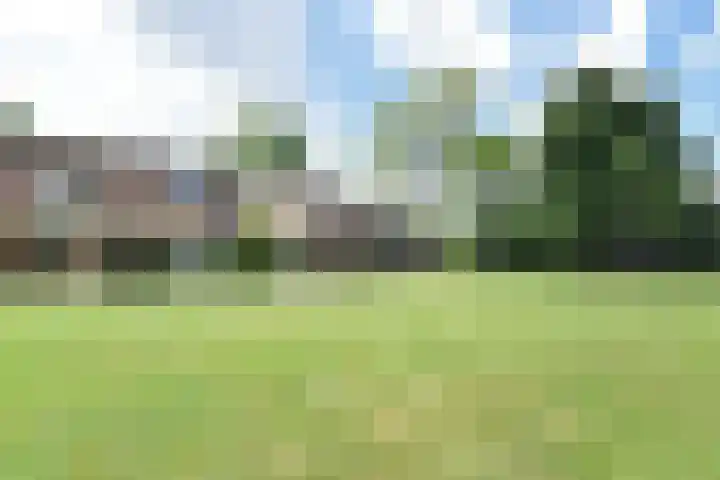 Castor 16 Berkel en Rodenrijs thumbnail 4