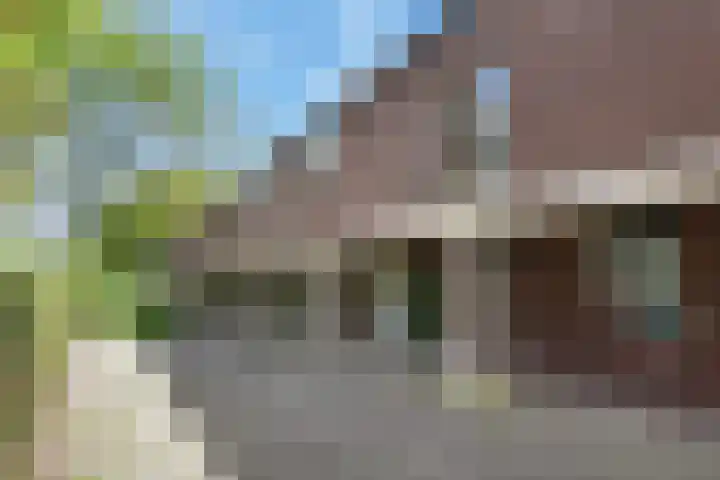 Castor 16 Berkel en Rodenrijs thumbnail 5