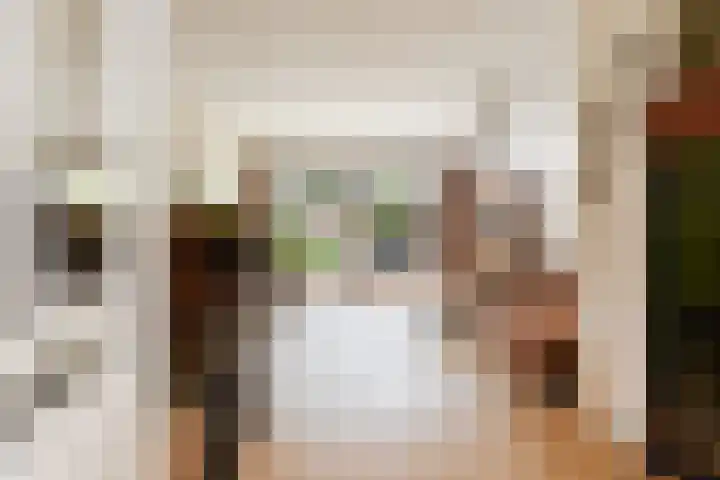 Castor 16 Berkel en Rodenrijs thumbnail 6