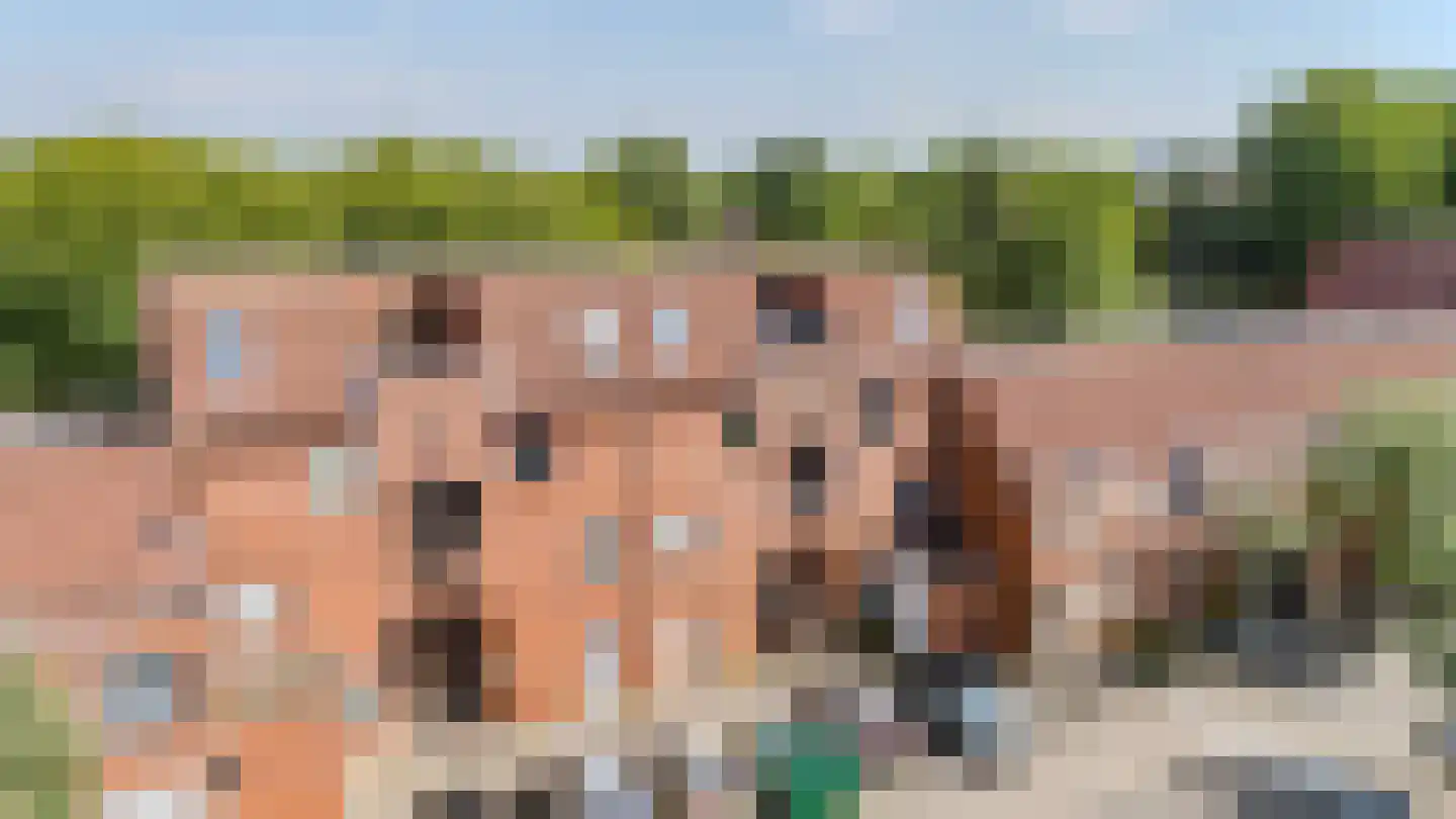Castor 30 Katwijk thumbnail 9