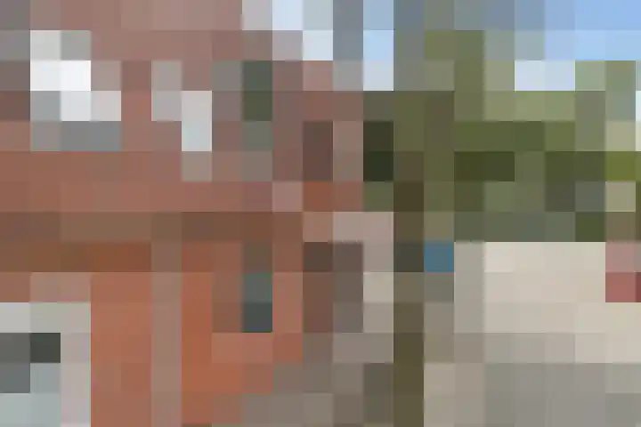 Castor 37 Katwijk thumbnail 36