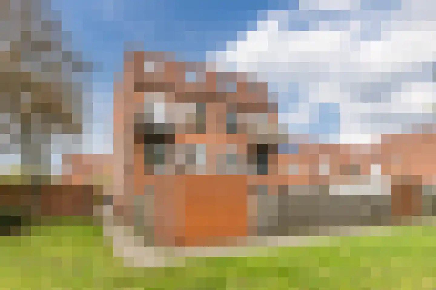 Castor 41 Katwijk thumbnail 32