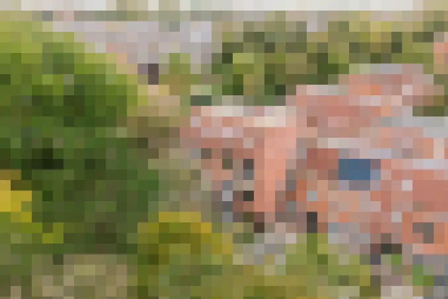 Castor 41 Katwijk thumbnail 33