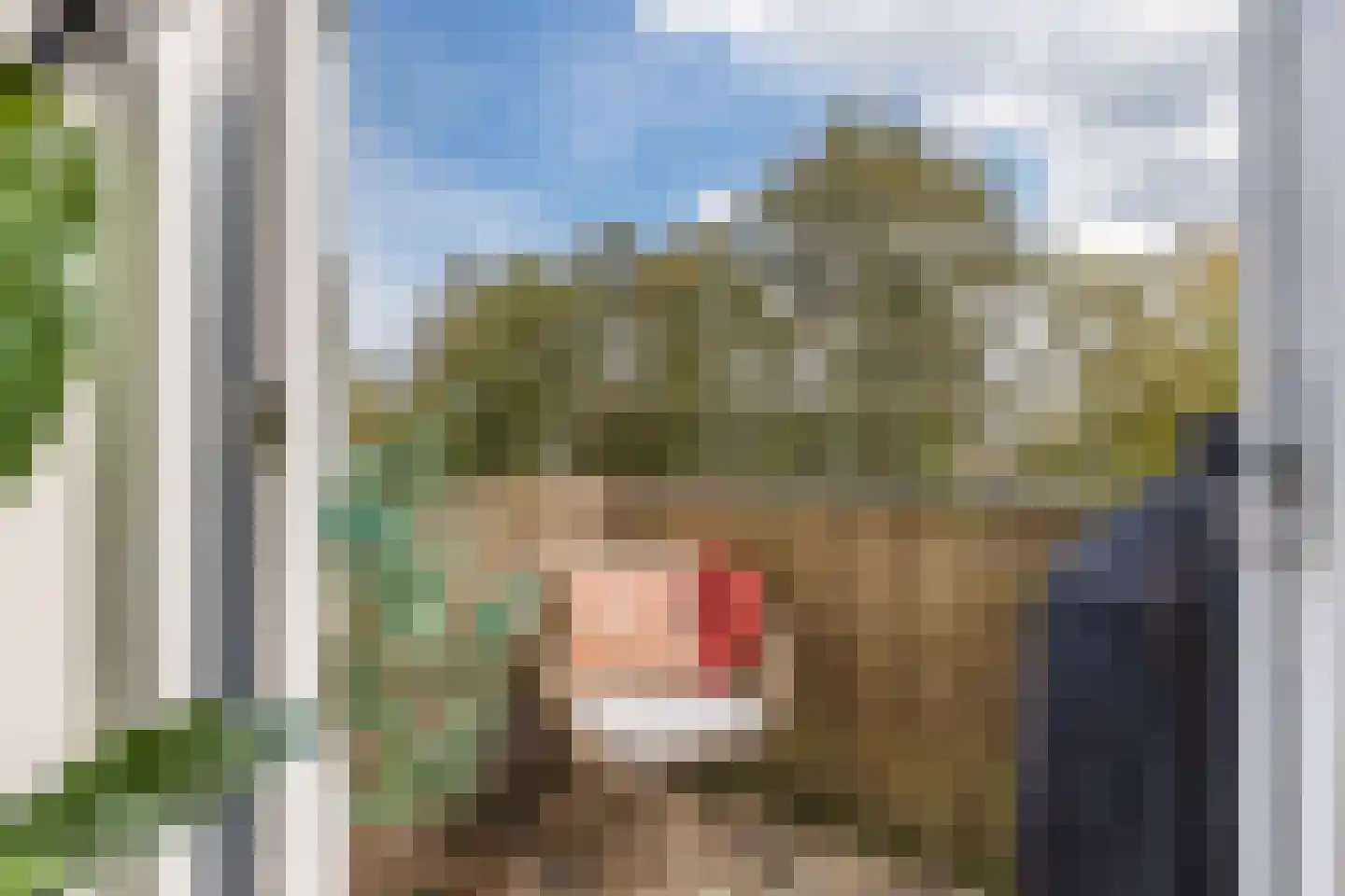Castor 41 Katwijk thumbnail 7