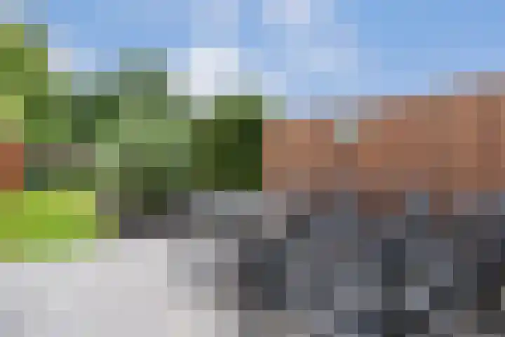 Castor 45 Veenendaal thumbnail 33