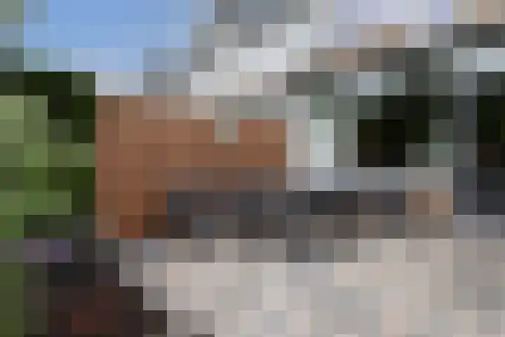 Castor 45 Veenendaal thumbnail 34