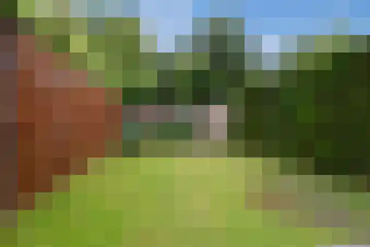Castor 45 Veenendaal thumbnail 35