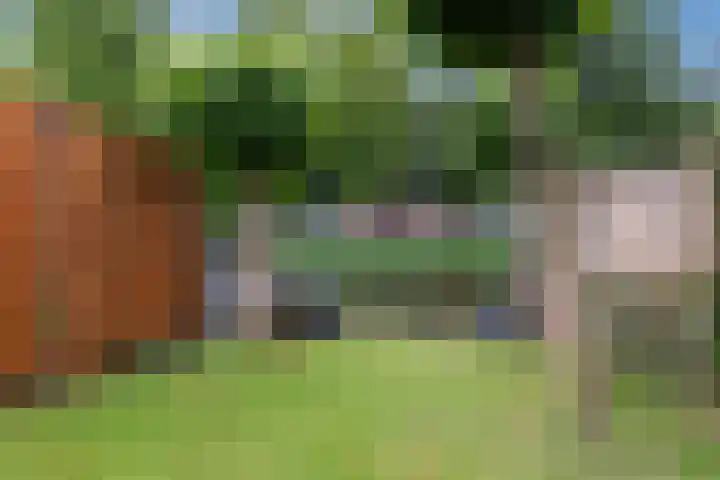Castor 45 Veenendaal thumbnail 36