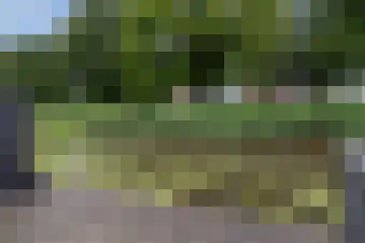 Castor 45 Veenendaal thumbnail 37