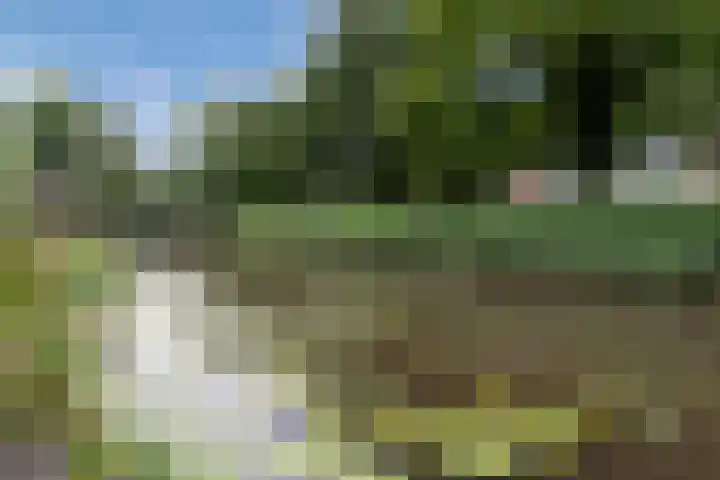 Castor 45 Veenendaal thumbnail 38