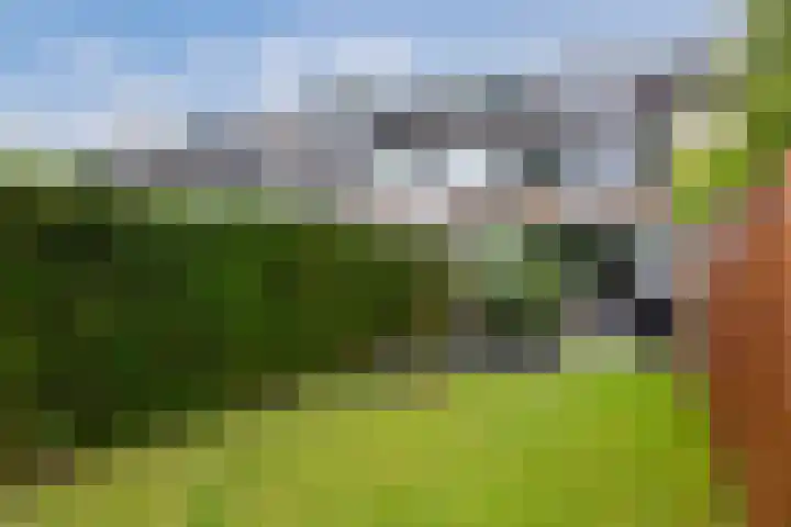Castor 45 Veenendaal thumbnail 39