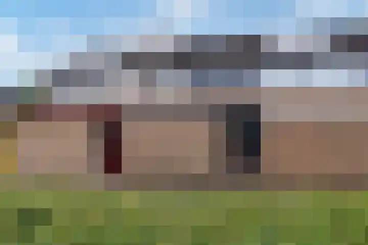 Castor 45 Veenendaal thumbnail 4