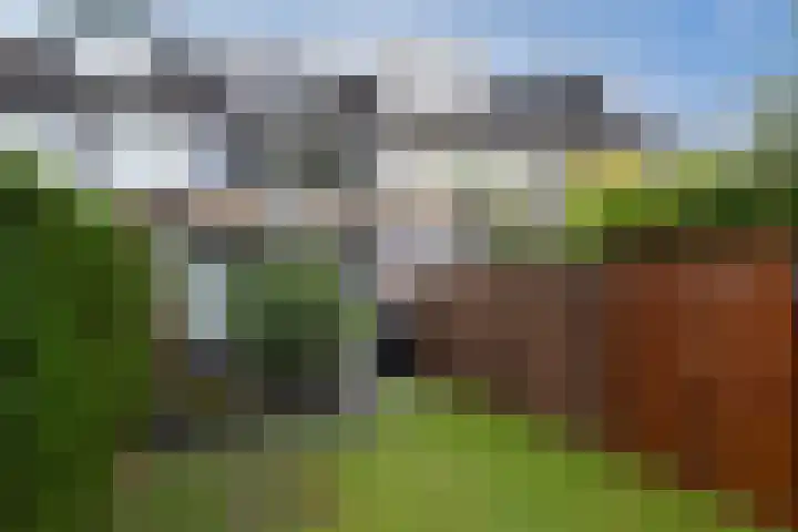 Castor 45 Veenendaal thumbnail 40