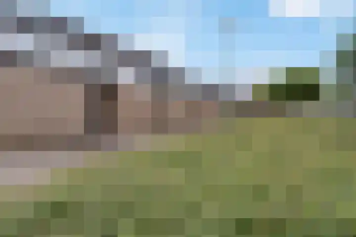 Castor 45 Veenendaal thumbnail 41
