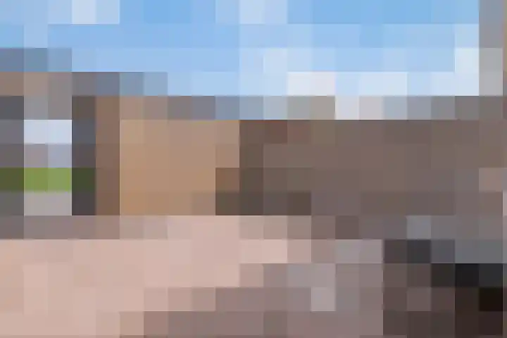 Castor 45 Veenendaal thumbnail 43