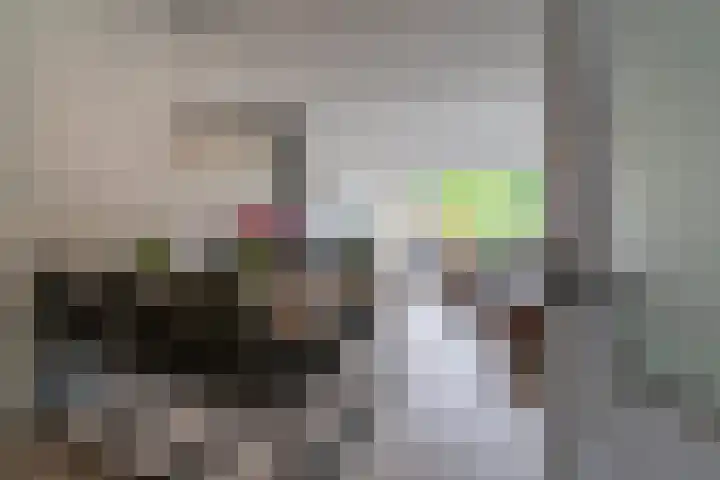 Castor 45 Veenendaal thumbnail 7