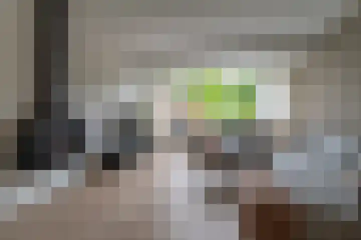 Castor 45 Veenendaal thumbnail 8