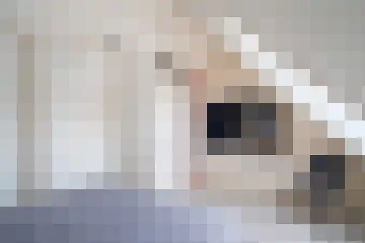 Castor 48 Berkel en Rodenrijs thumbnail 33