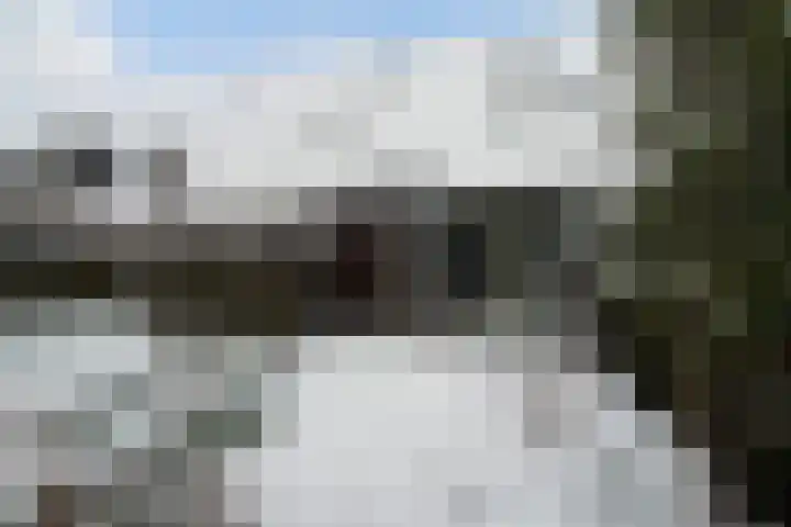 Castor 48 Berkel en Rodenrijs thumbnail 36