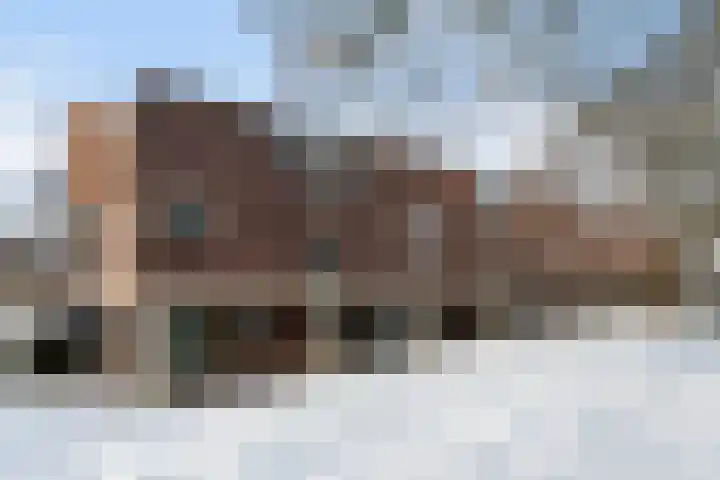 Castor 48 Berkel en Rodenrijs thumbnail 38