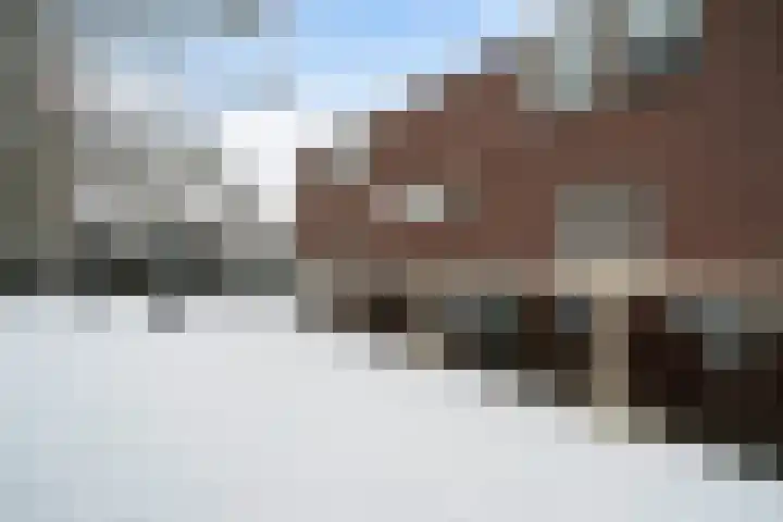 Castor 48 Berkel en Rodenrijs thumbnail 39