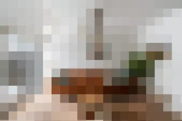 Castor 48 Berkel en Rodenrijs thumbnail 4