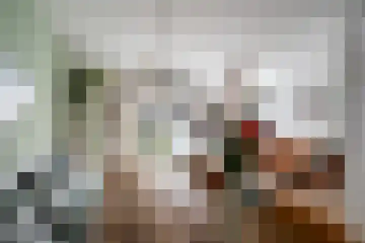 Castor 48 Berkel en Rodenrijs thumbnail 8