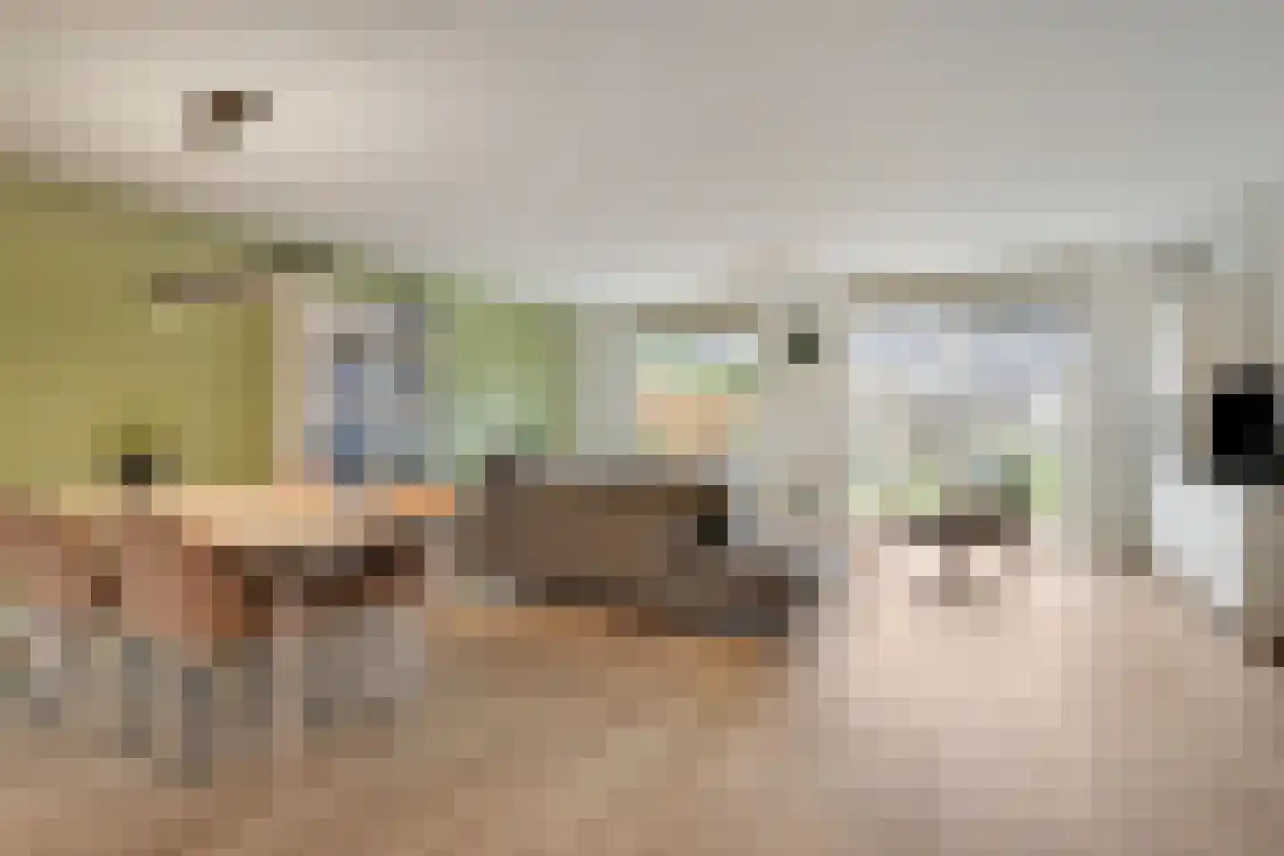 Castor 5 Duiven thumbnail 12