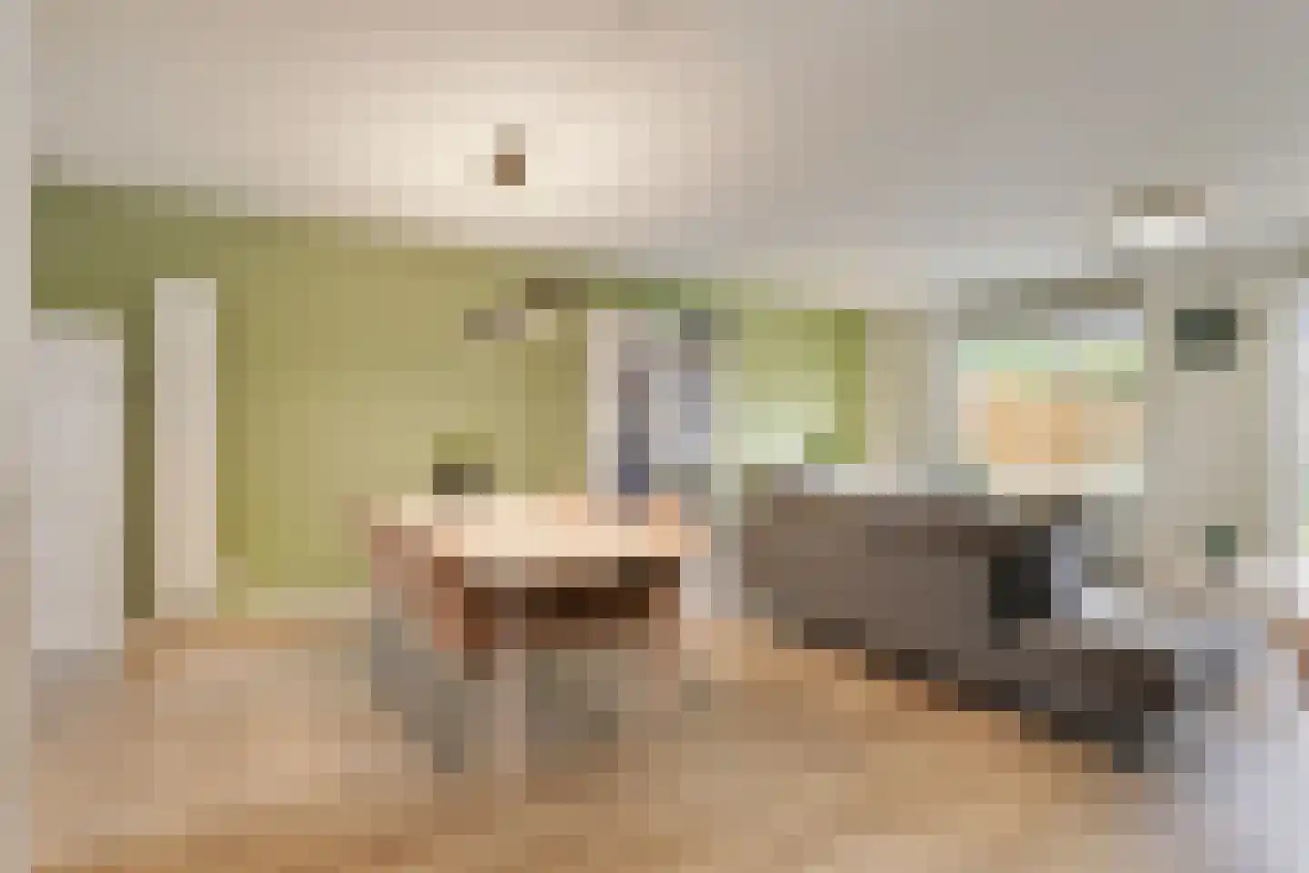 Castor 5 Duiven thumbnail 13