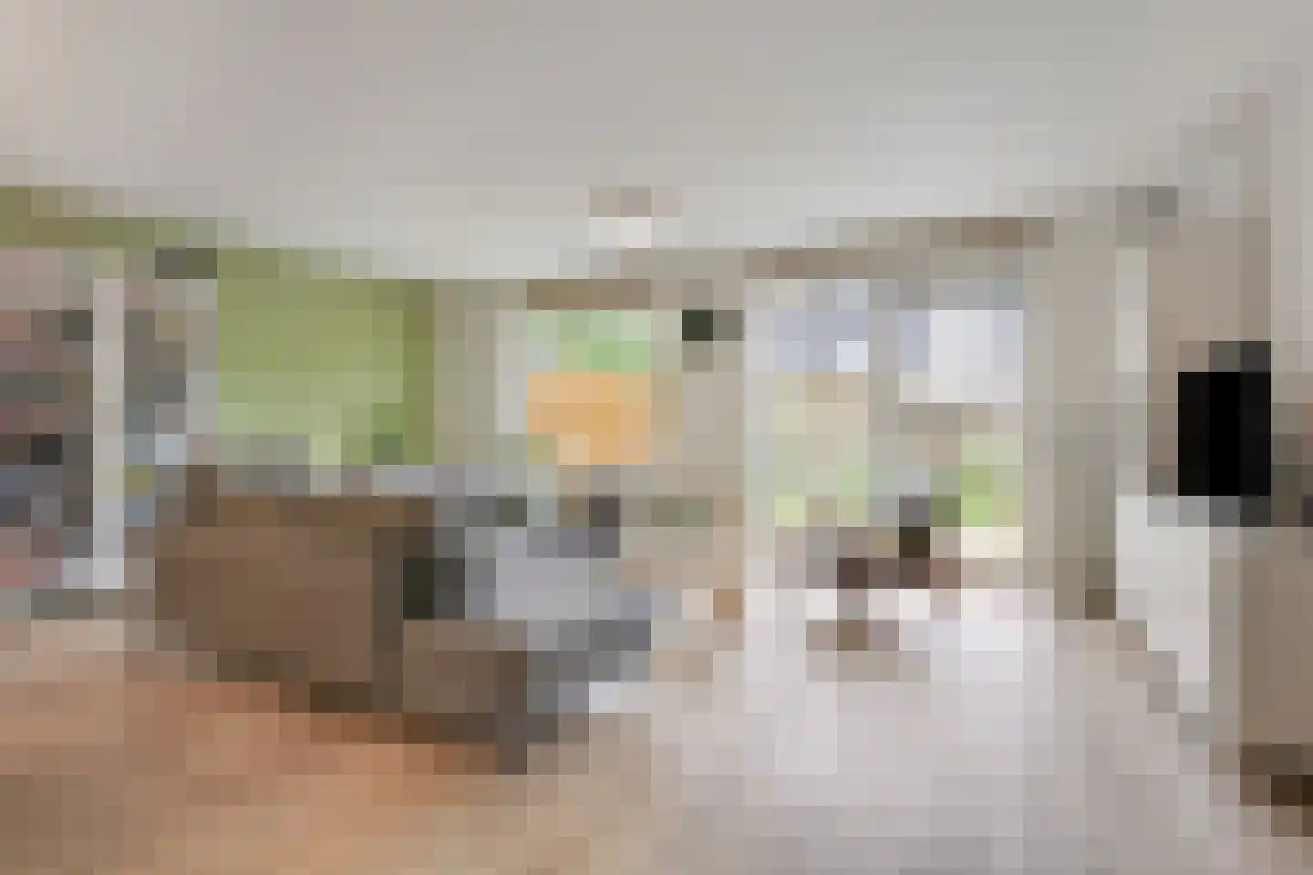Castor 5 Duiven thumbnail 14