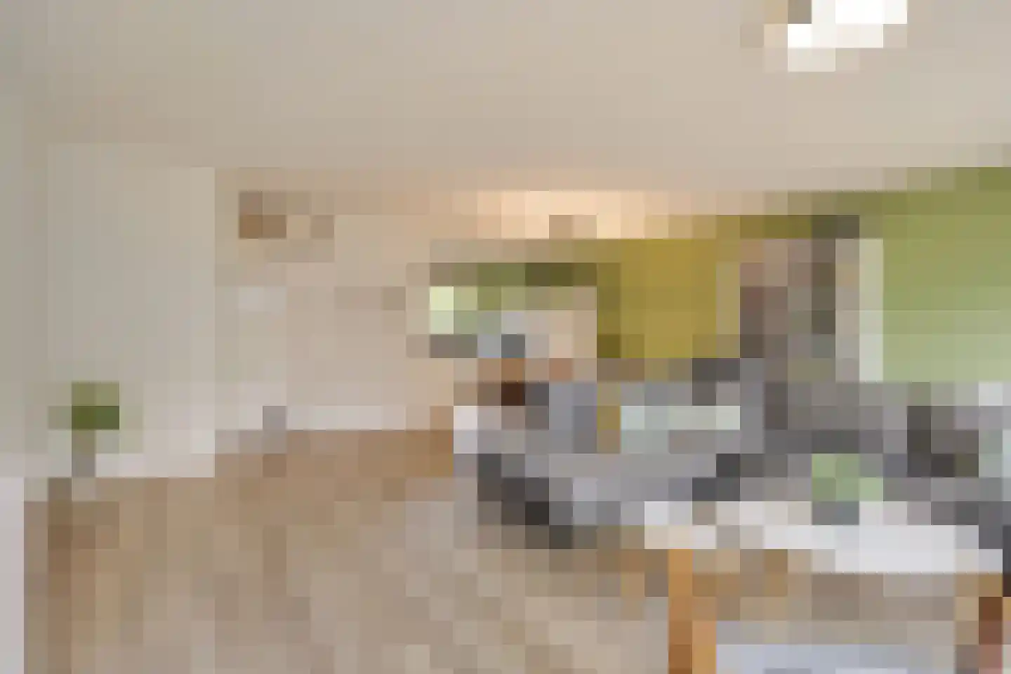 Castor 5 Duiven thumbnail 15