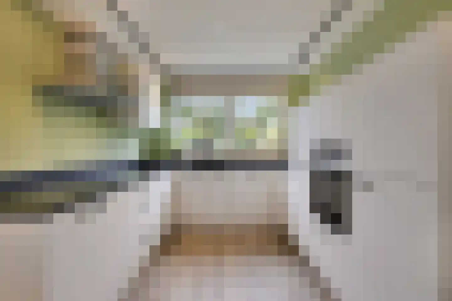 Castor 5 Duiven thumbnail 20