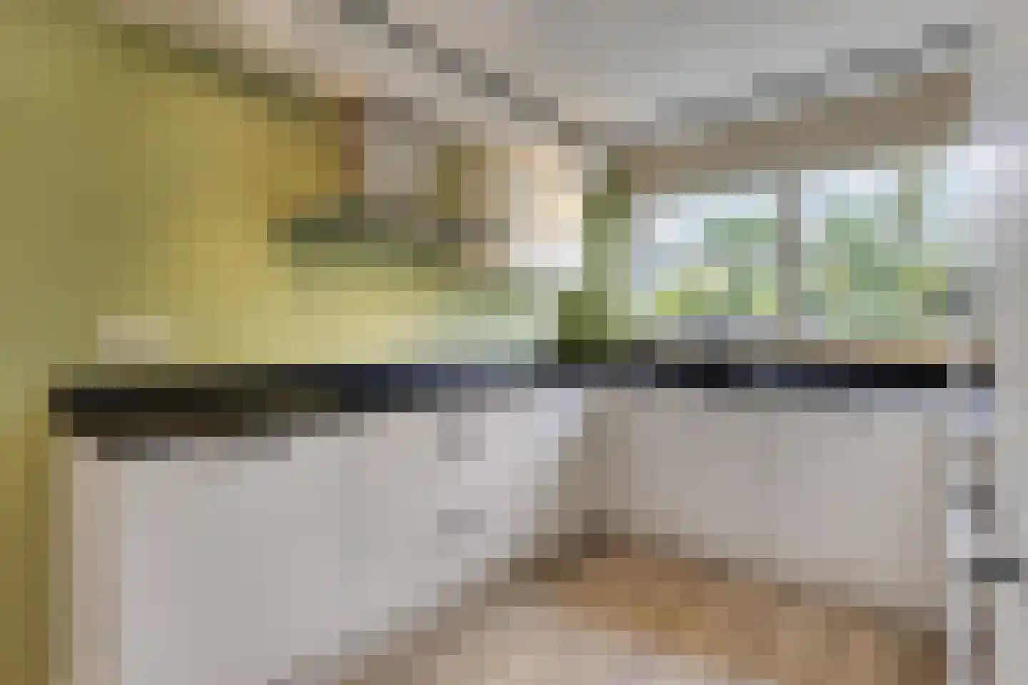 Castor 5 Duiven thumbnail 21