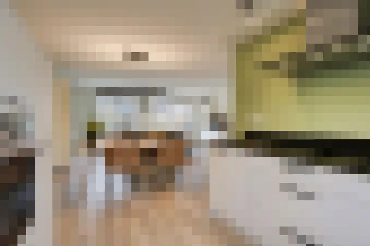Castor 5 Duiven thumbnail 22