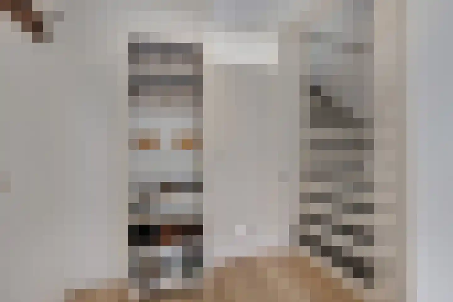 Castor 5 Duiven thumbnail 24