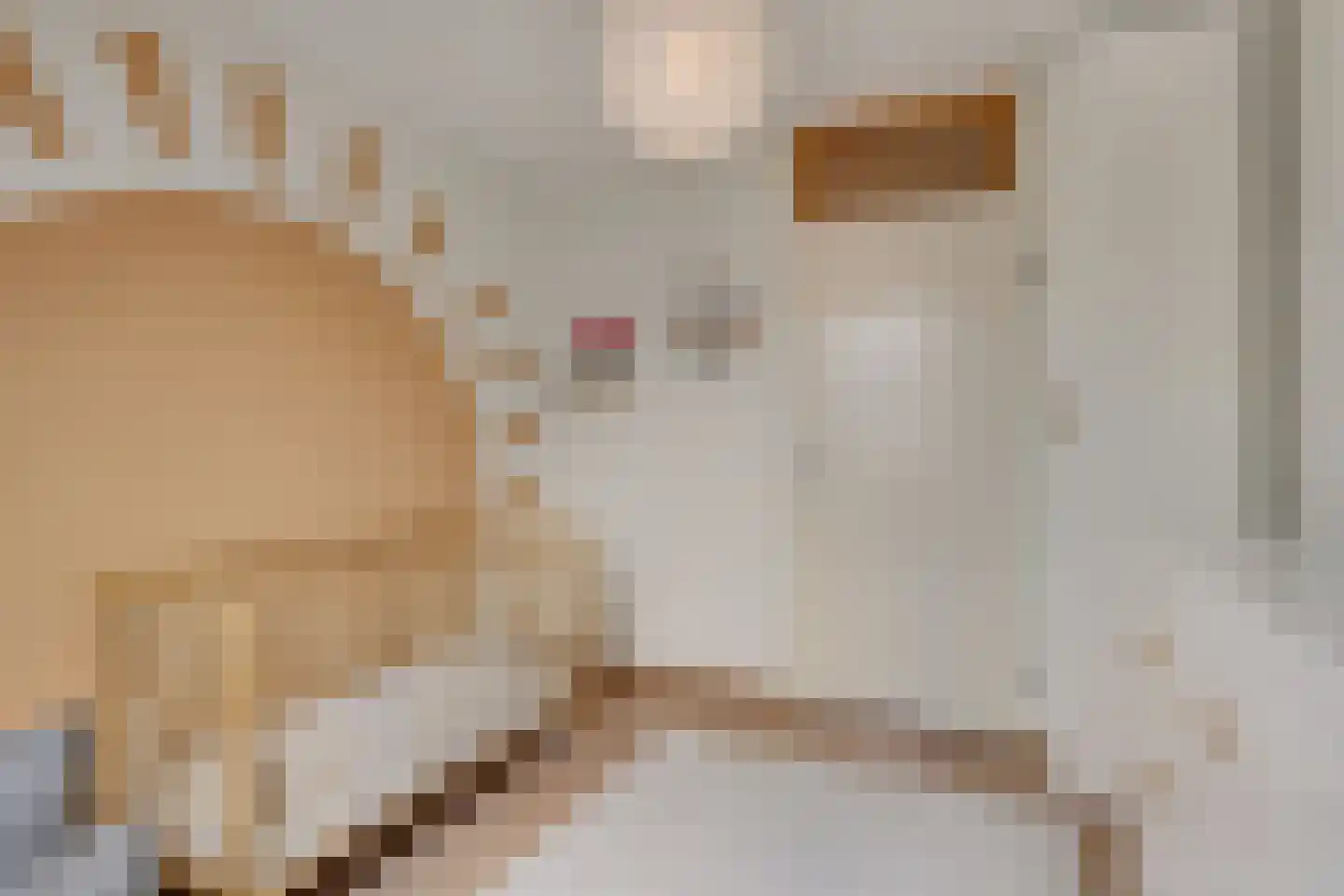 Castor 5 Duiven thumbnail 27