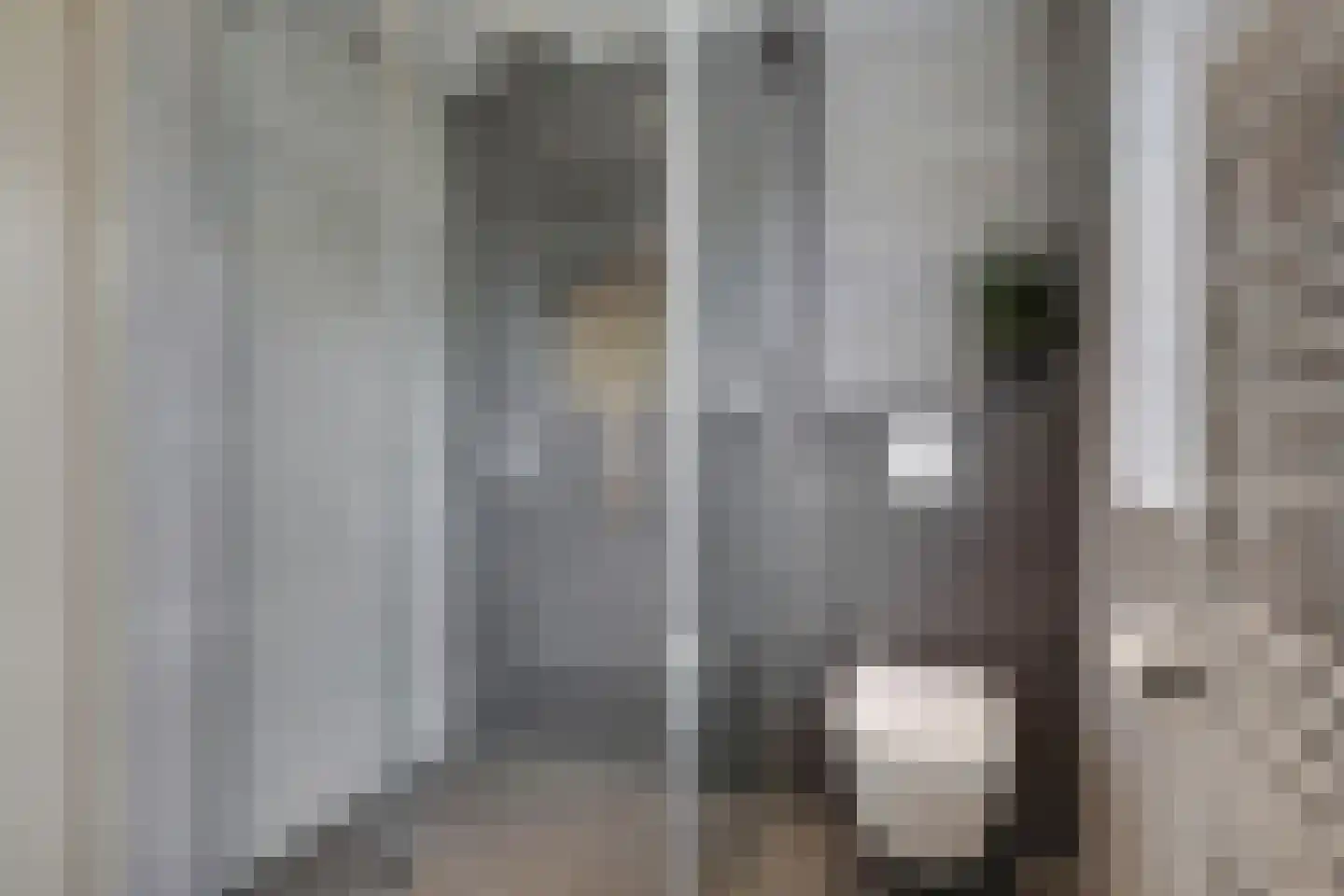 Castor 5 Duiven thumbnail 33