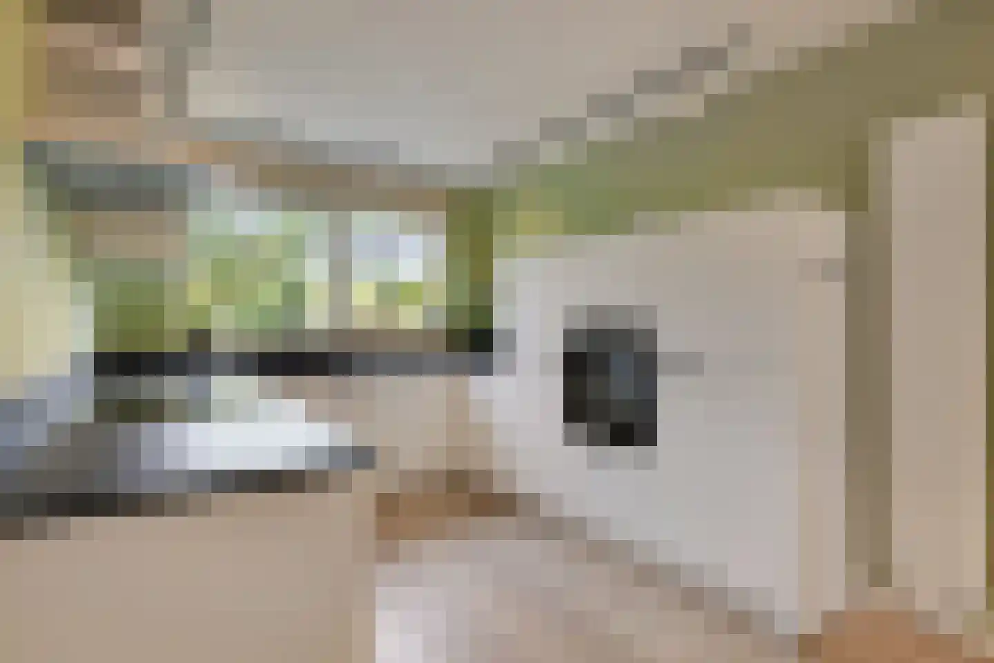 Castor 5 Duiven thumbnail 4