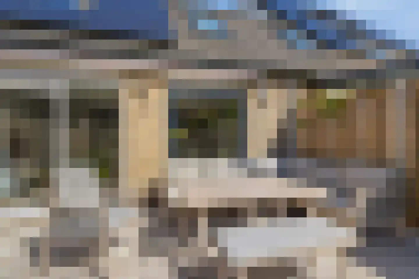 Castor 5 Duiven thumbnail 45