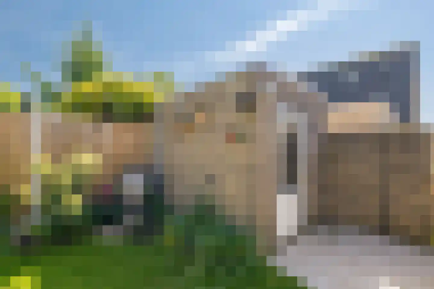 Castor 5 Duiven thumbnail 49