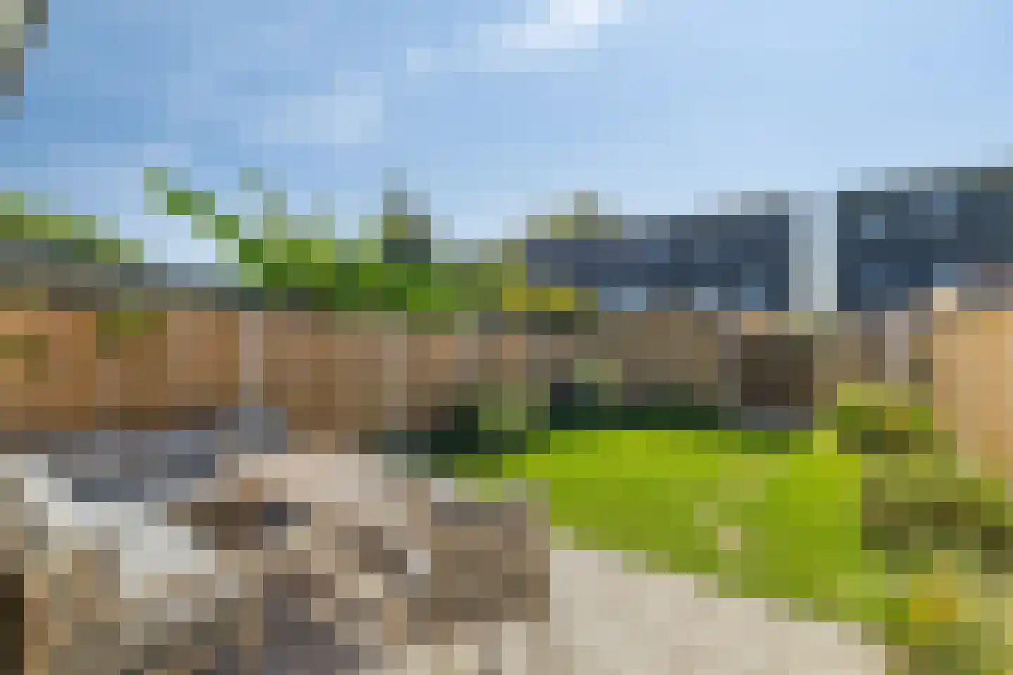 Castor 5 Duiven thumbnail 5