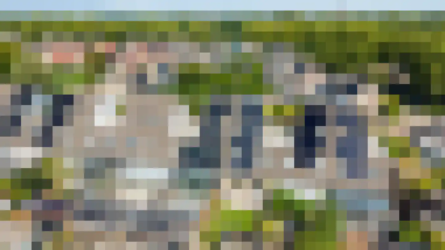 Castor 5 Duiven thumbnail 51