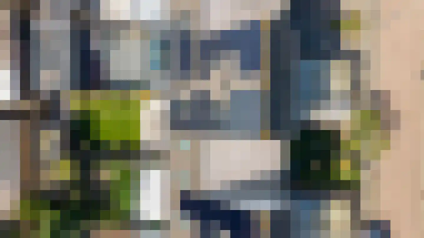 Castor 5 Duiven thumbnail 52