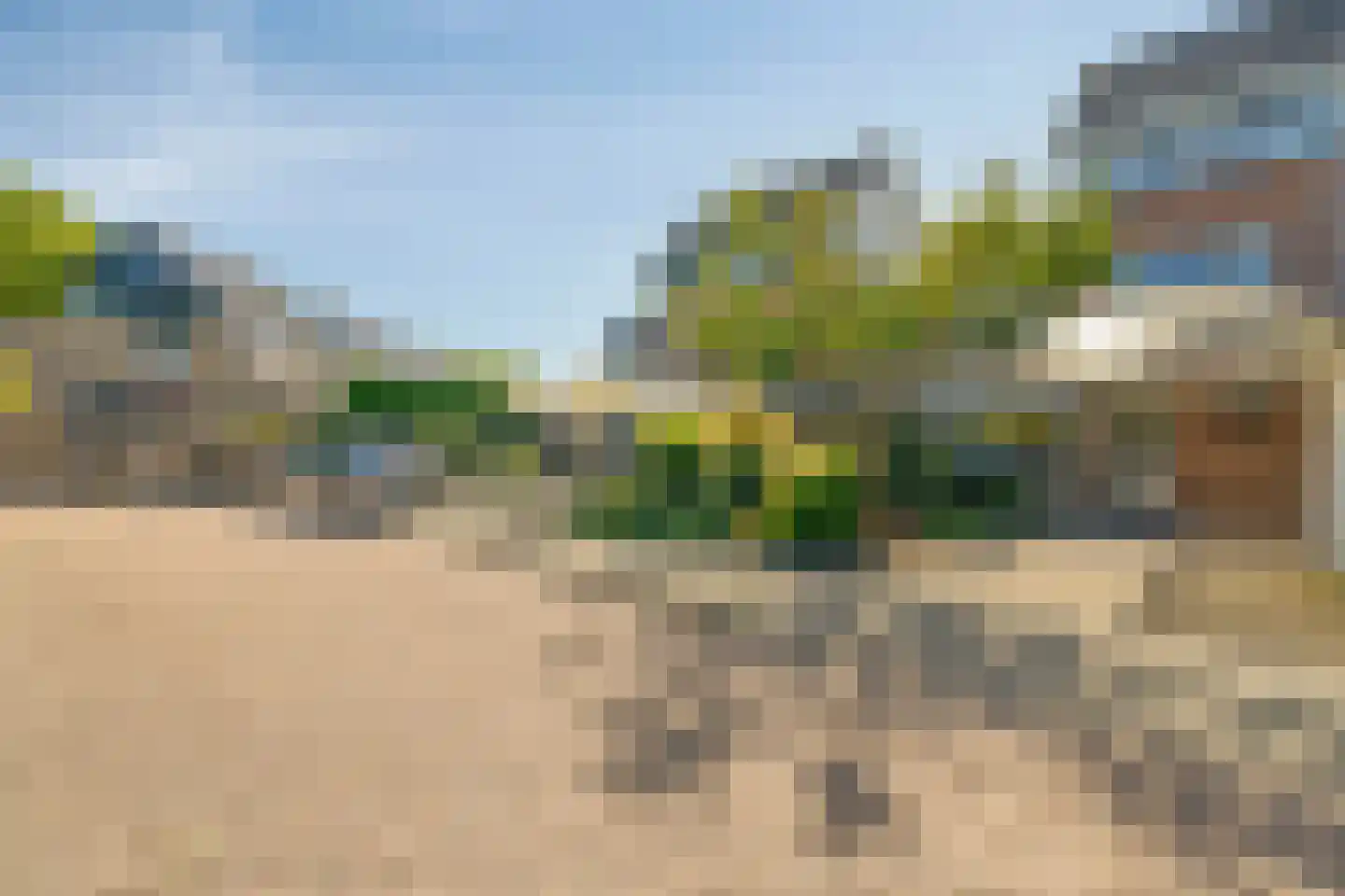Castor 5 Duiven thumbnail 53
