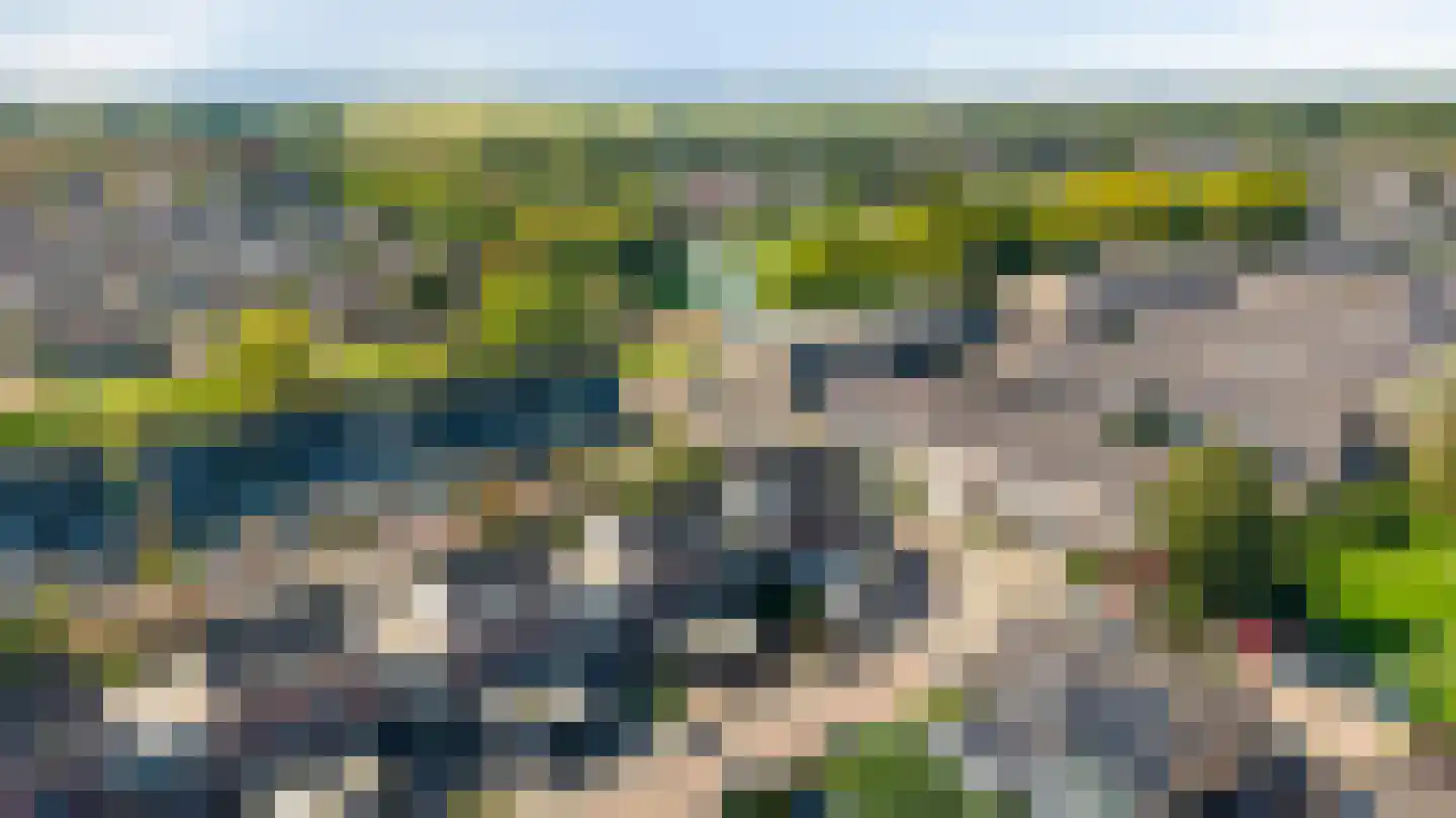 Castor 5 Duiven thumbnail 56