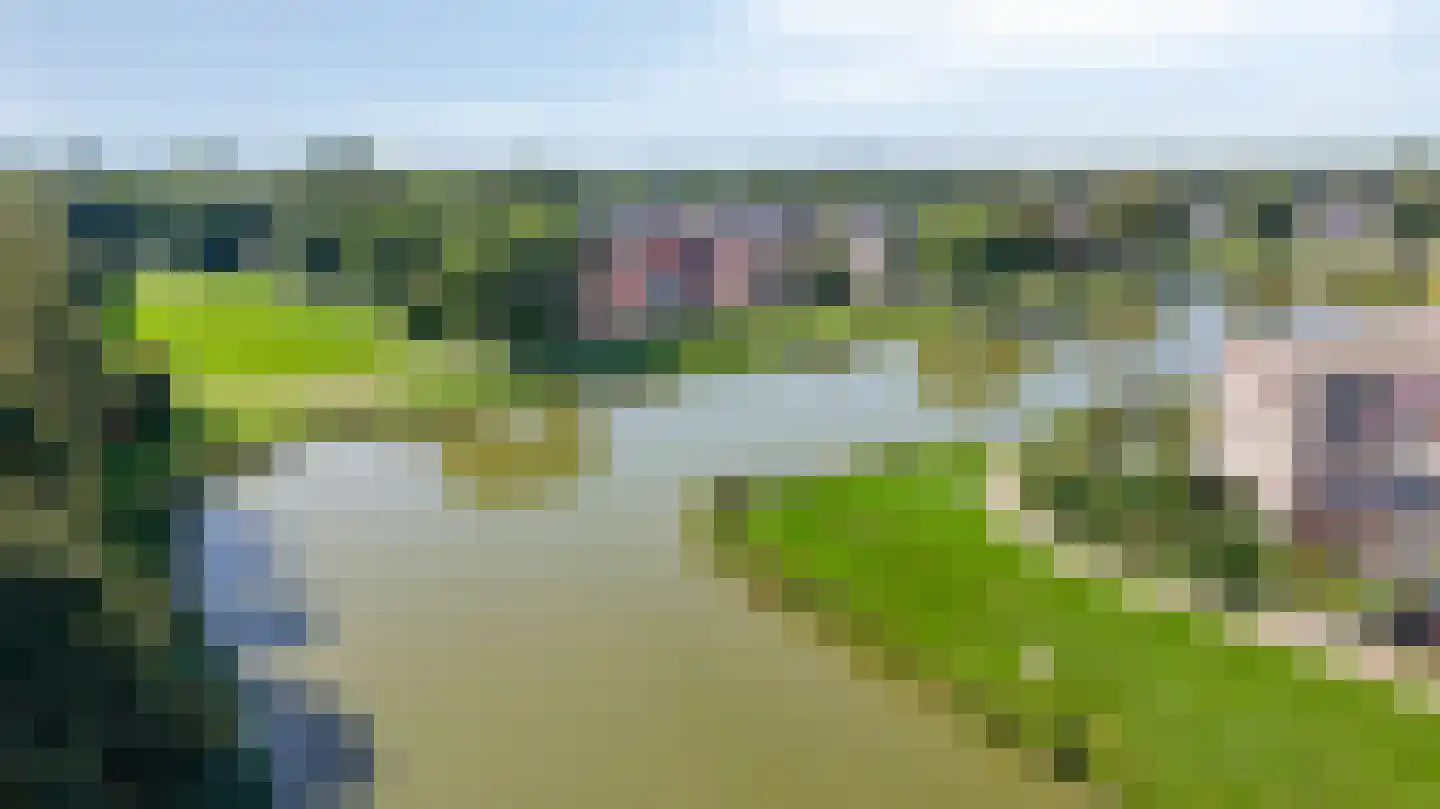 Castor 5 Duiven thumbnail 57