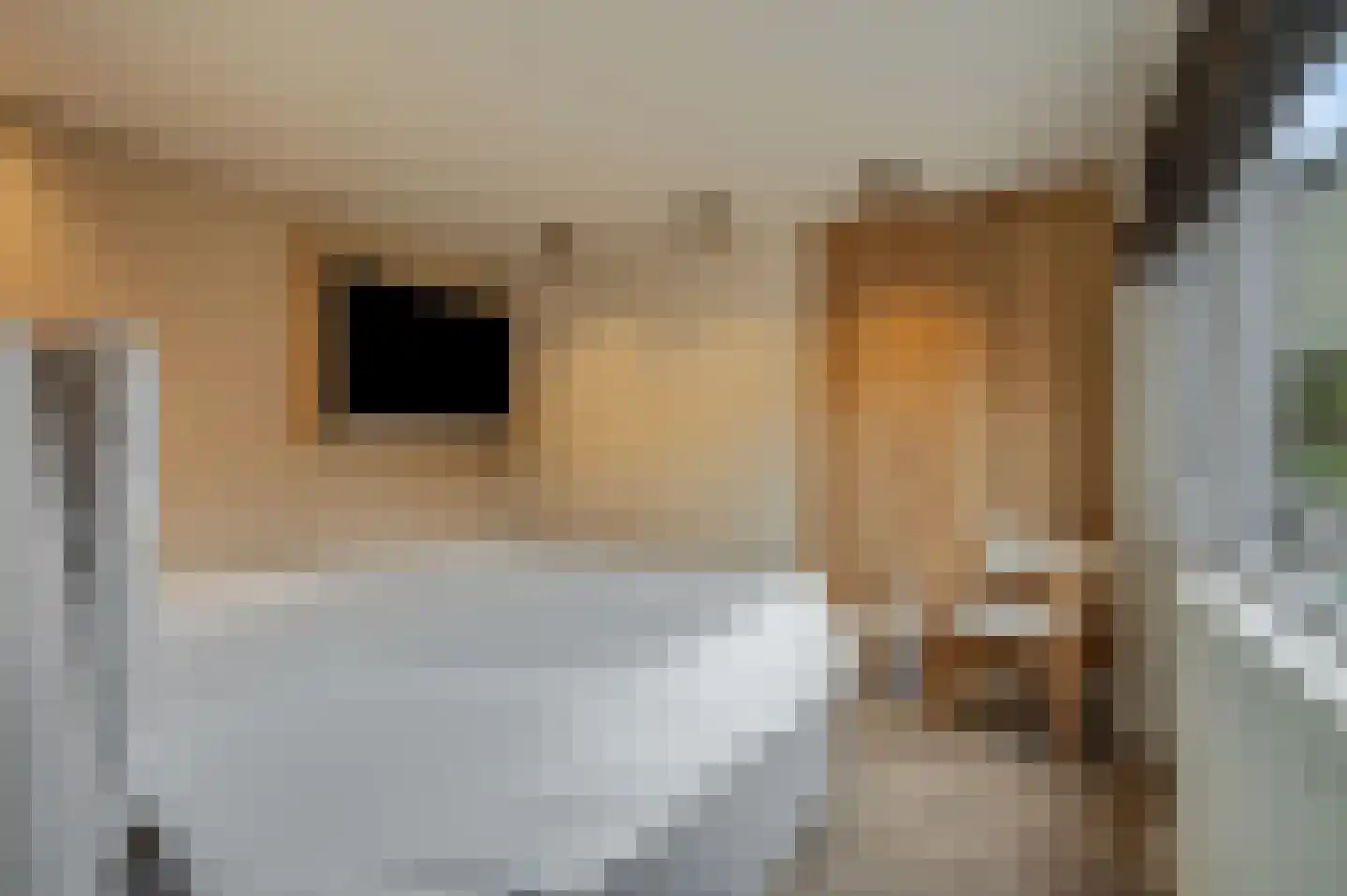 Castor 5 Veenendaal thumbnail 21