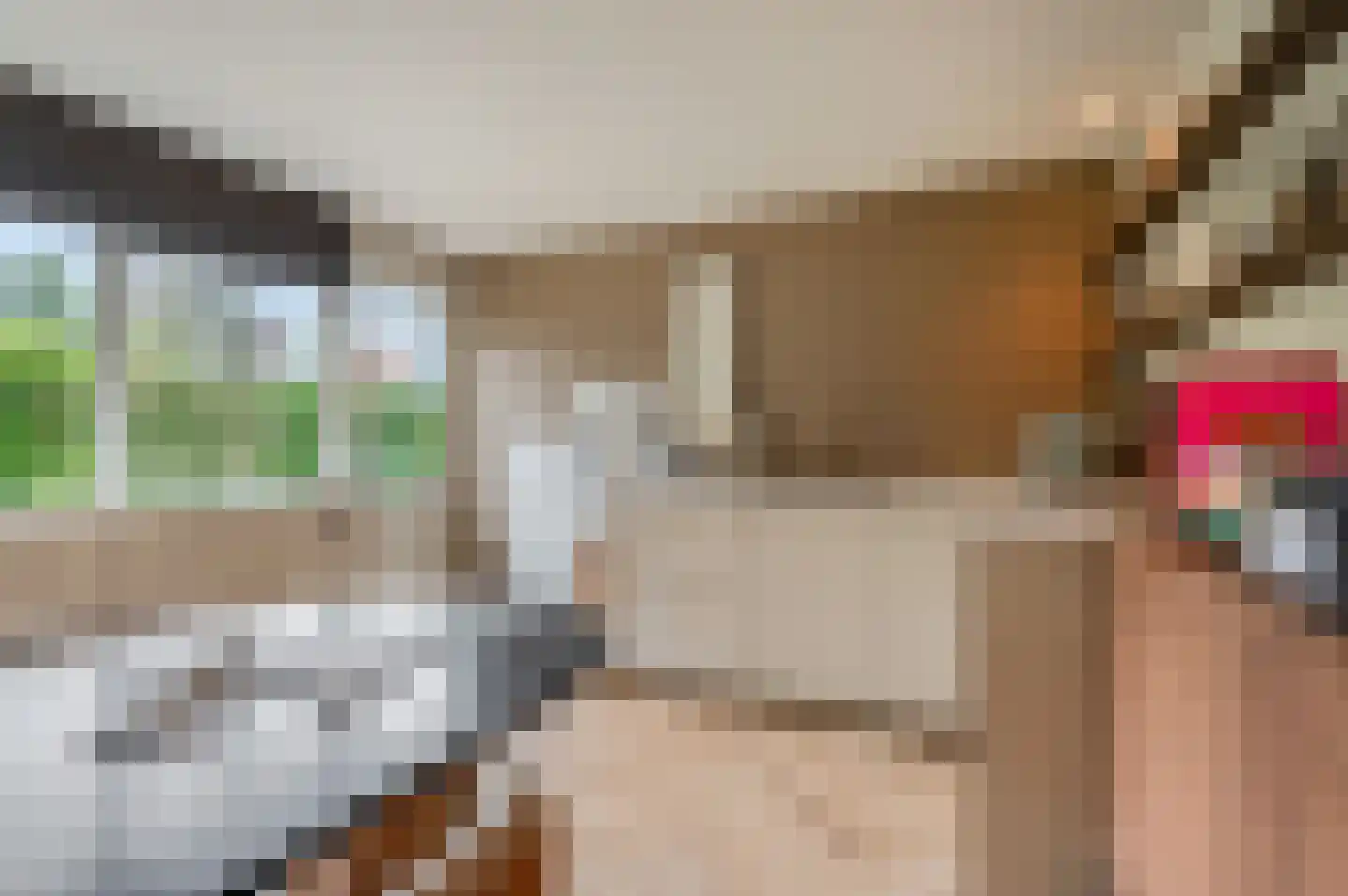 Castor 5 Veenendaal thumbnail 31