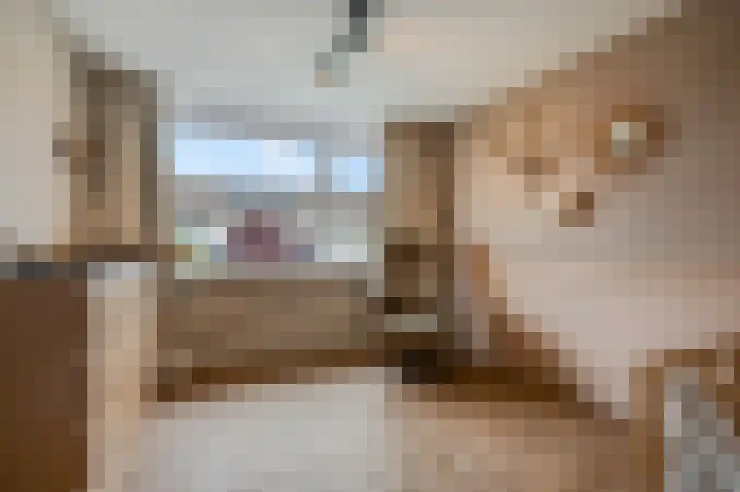 Castor 5 Veenendaal thumbnail 34