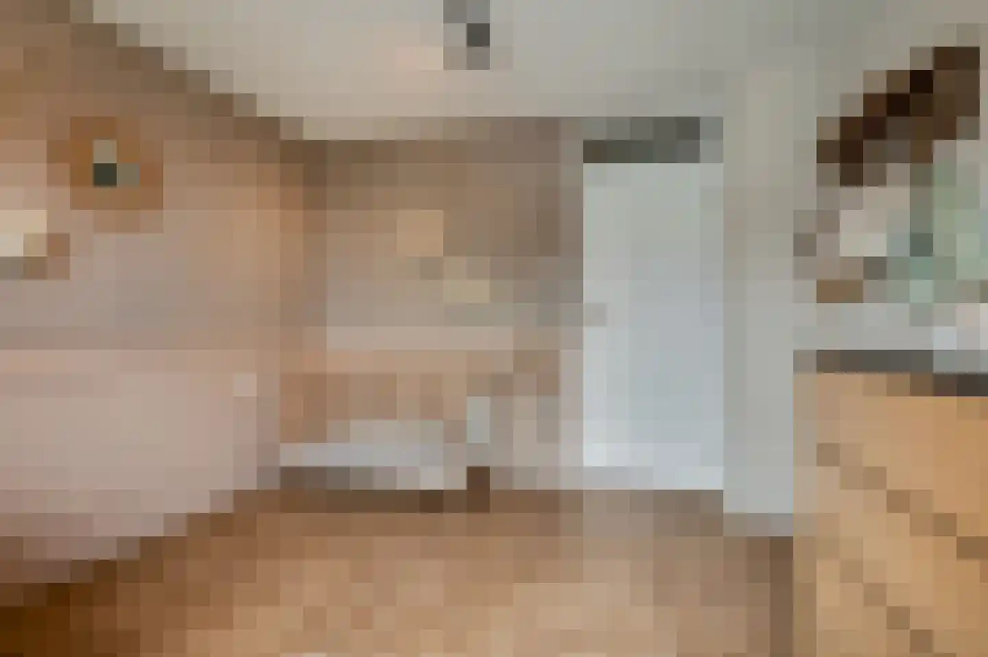 Castor 5 Veenendaal thumbnail 36